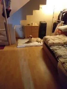 Read more about the article Pavol M.