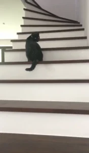 Read more about the article Viliam P.