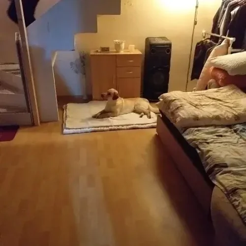 23. Pavol M. Kalinčiakovo – kópia